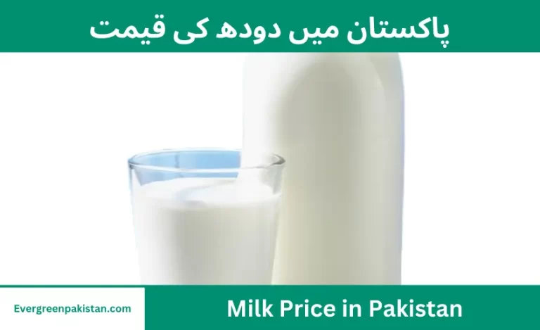 Today Milk Prices in Pakistan