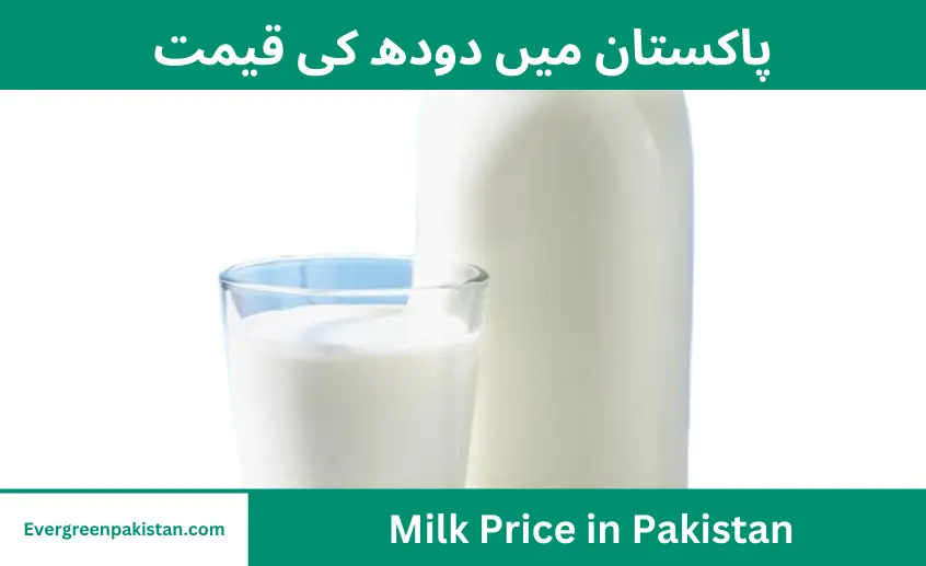 Milk Price in Pakistan