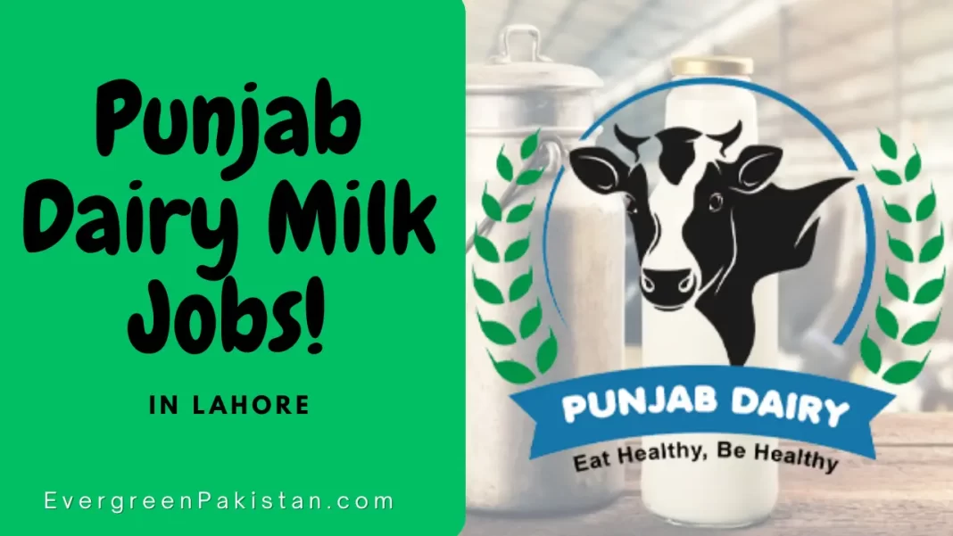 Punjab Dairy Milk Jobs in Lahore